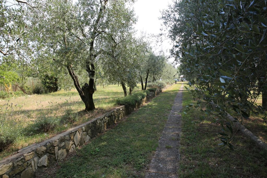 Villa Francesca Rignano Sull Arno Exterior photo